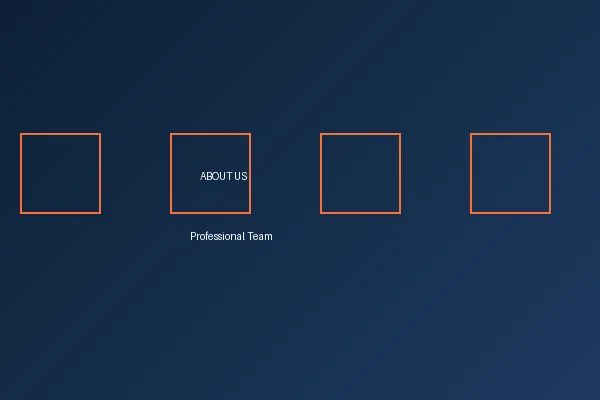 皇冠体育专业团队合影